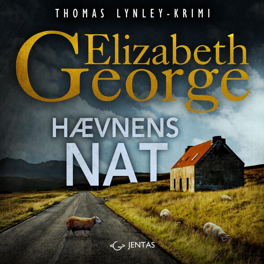 Elizabeth George: Hævnens nat