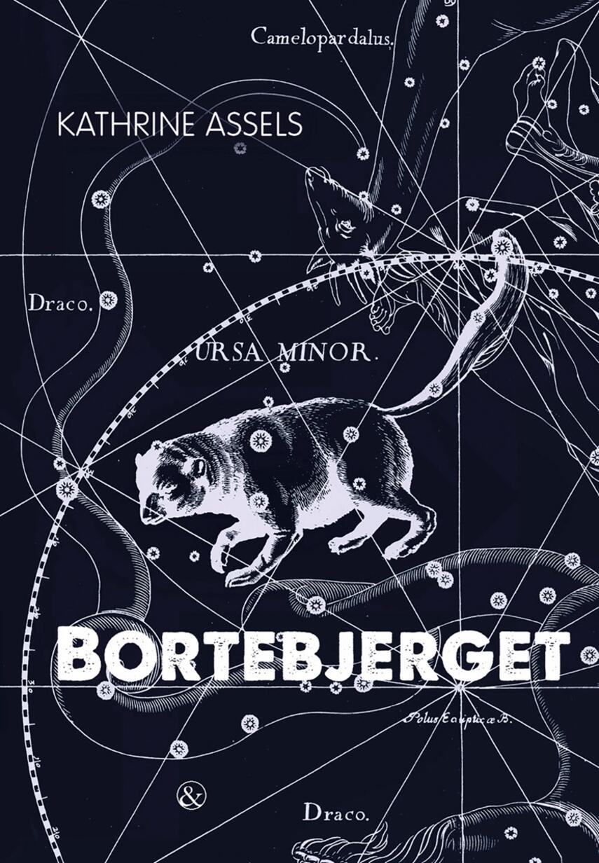 Kathrine Assels: Bortebjerget
