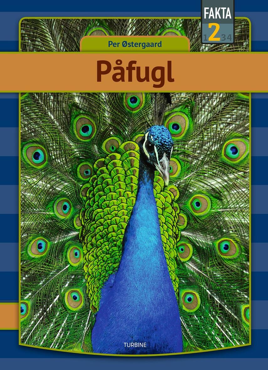 Per Østergaard (f. 1950): Påfugl