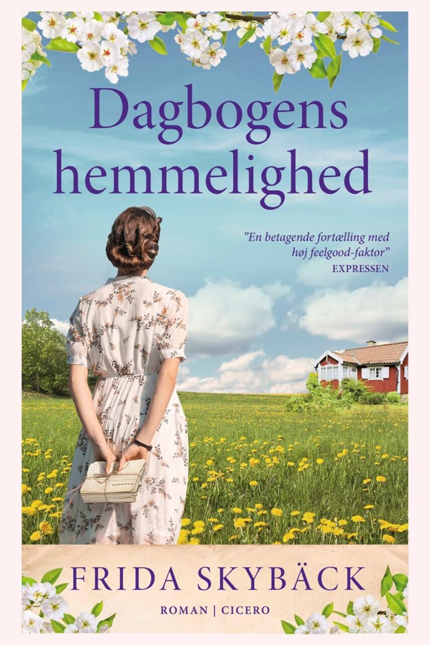 Frida Skybäck (f. 1980): Dagbogens hemmelighed : roman