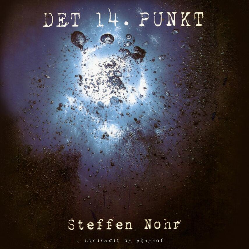 Steffen Nohr: Det 14. punkt