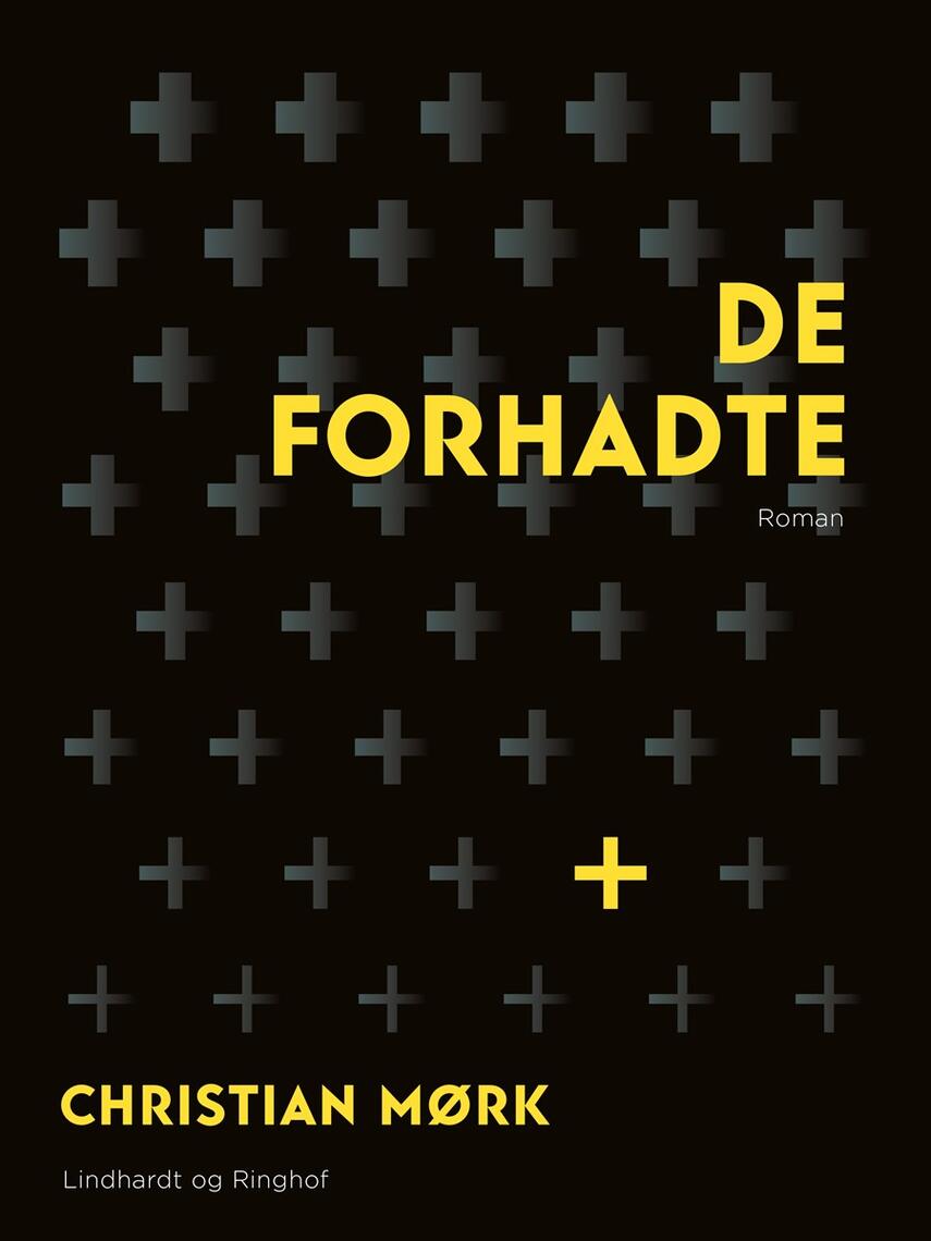 Christian Mørk: De forhadte : roman