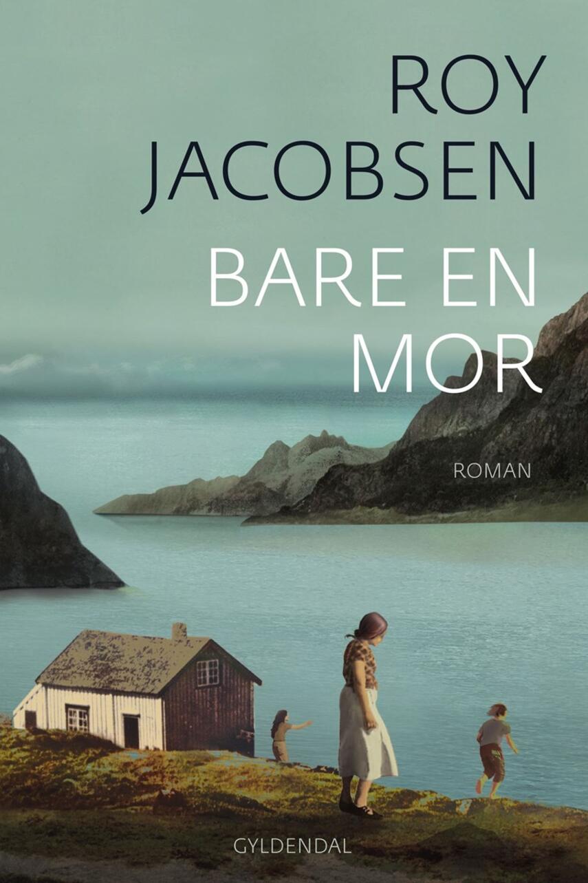 Roy Jacobsen (f. 1954): Bare en mor : roman