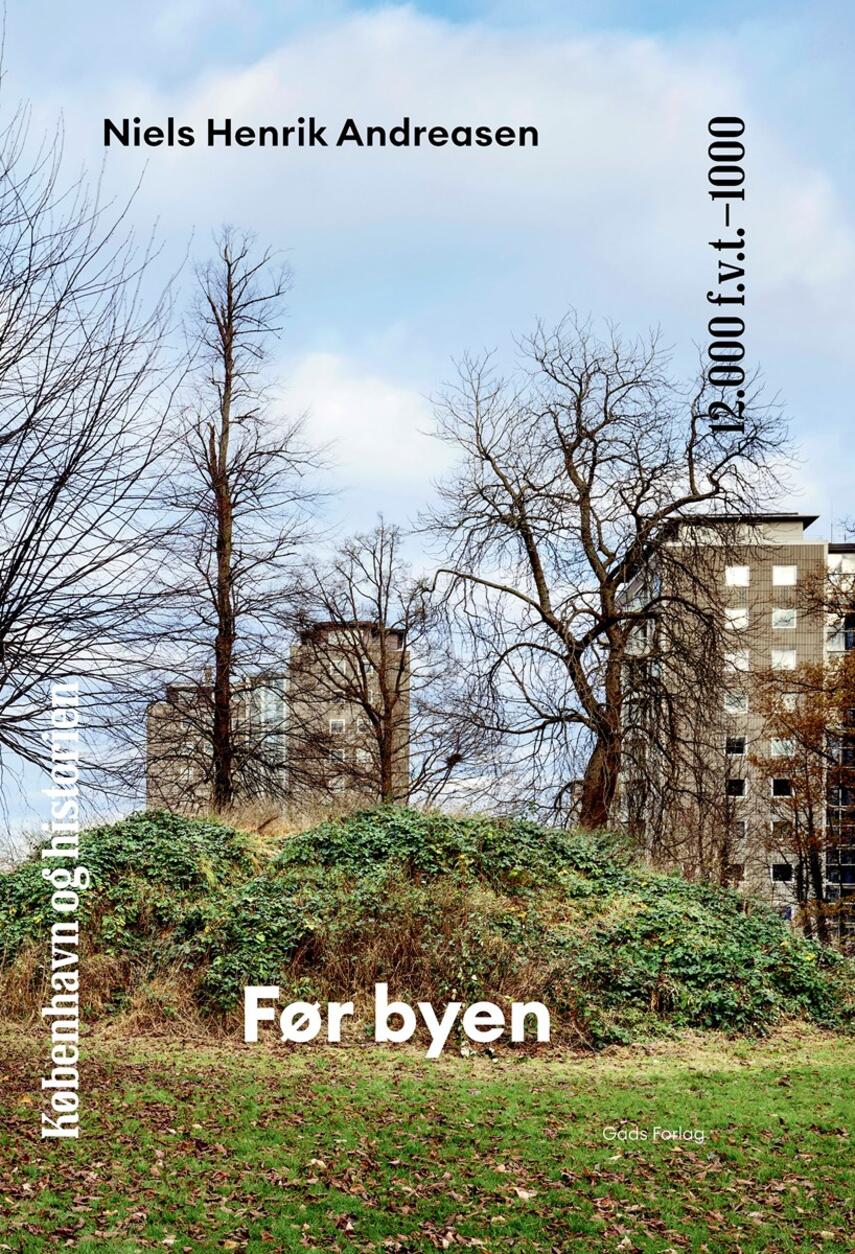 Niels H. Andreasen: Før byen : 12.000 f.v.t.-1000