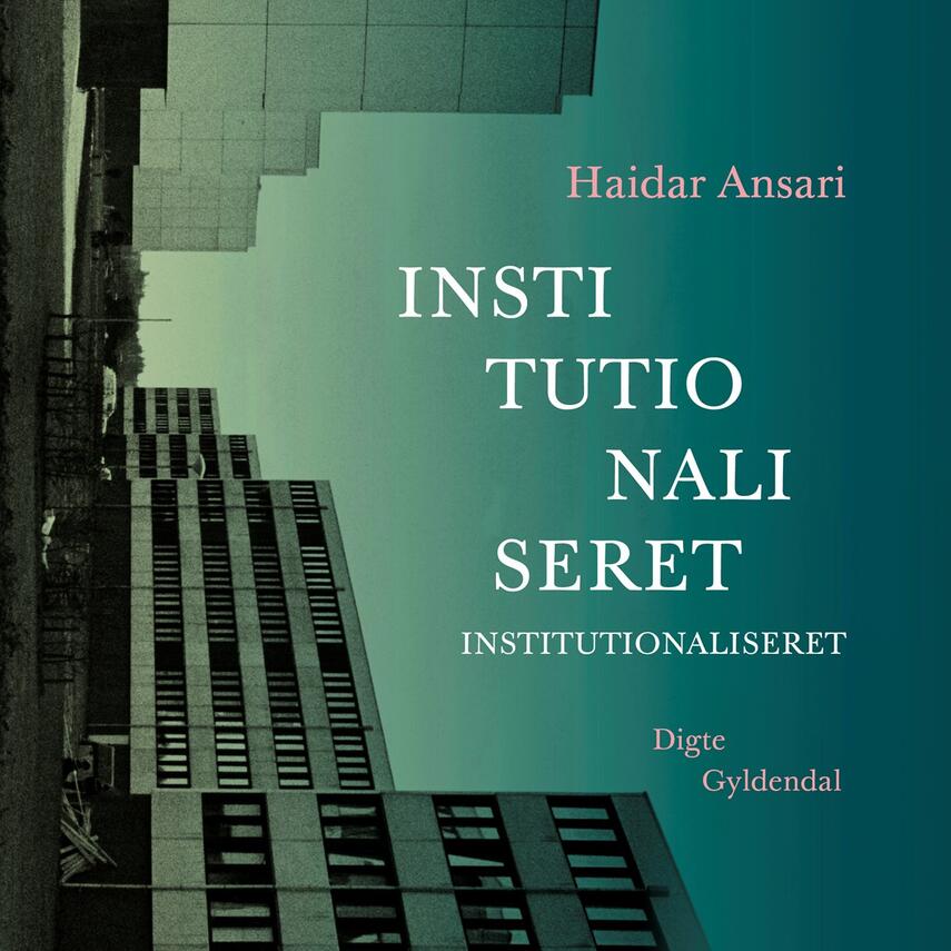 Haidar Ansari: Institutionaliseret