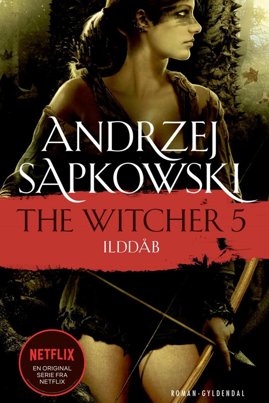 Andrzej Sapkowski: Ilddåb : roman