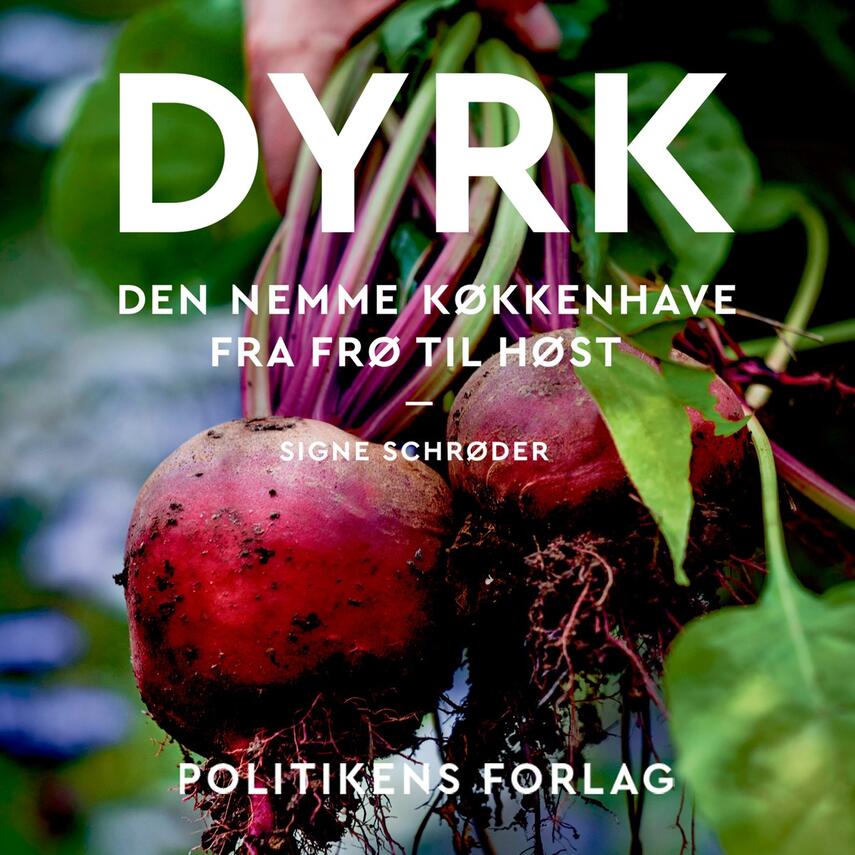 Signe Schrøder: Dyrk : den nemme køkkenhave fra frø til høst