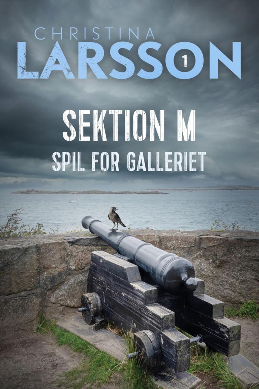 Christina Larsson (f. 1965): Sektion M. 1