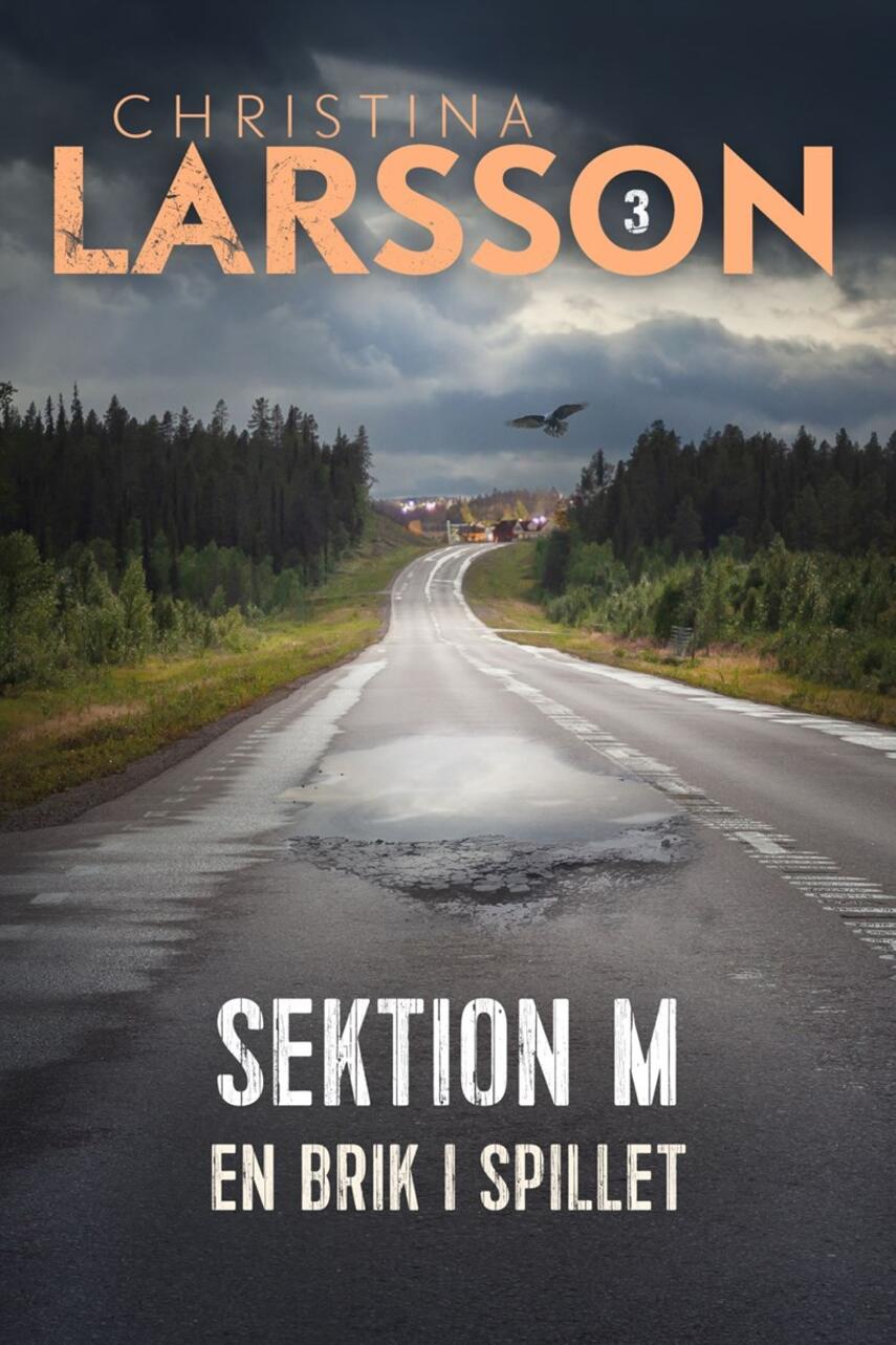 Christina Larsson (f. 1965): Sektion M. 3