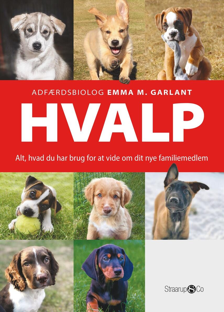 Emma M. Garlant: Hvalp : alt, hvad du har brug for at vide om dit nye familiemedlem
