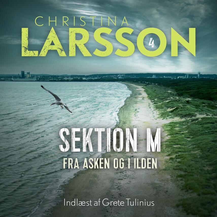 Christina Larsson (f. 1965): Sektion M. Del 4, Fra asken og i ilden