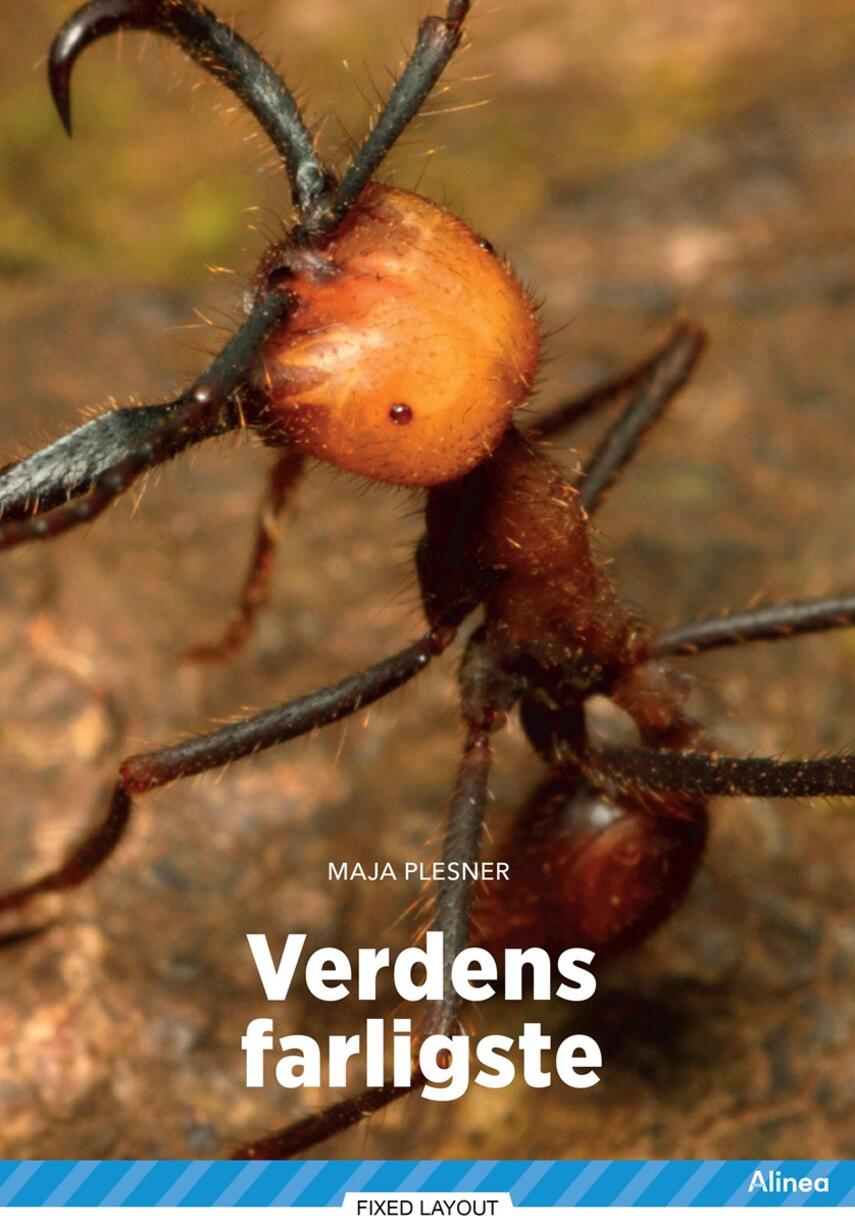 Maja Plesner: Verdens farligste