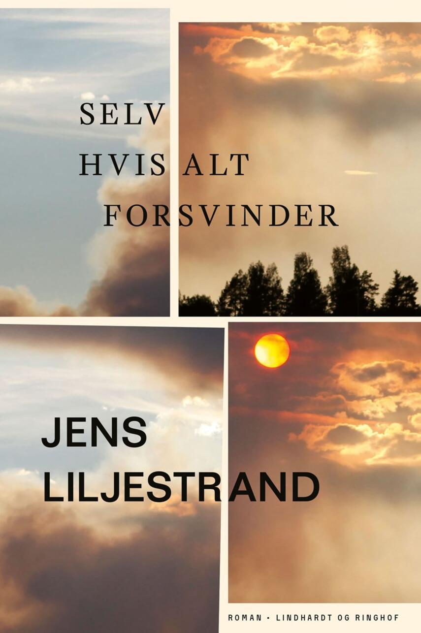 Jens Liljestrand (f. 1974): Selv hvis alt forsvinder : roman