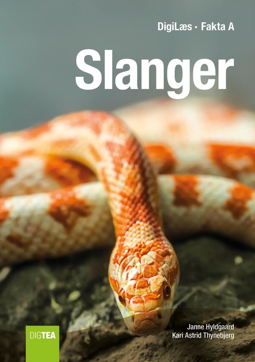 Janne Hyldgaard, Kari Astrid Thynebjerg: Slanger