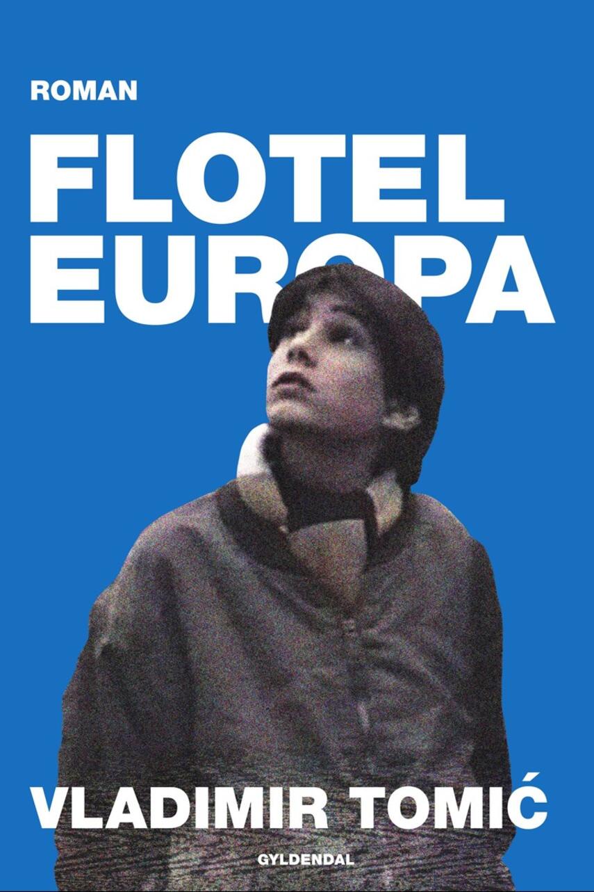 Vladimir Tomic: Flotel Europa : roman