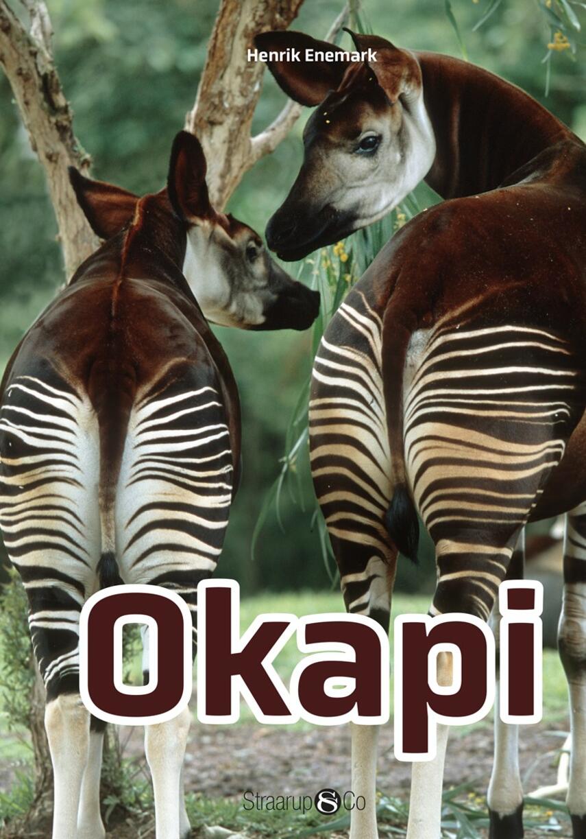 Henrik Enemark: Okapi