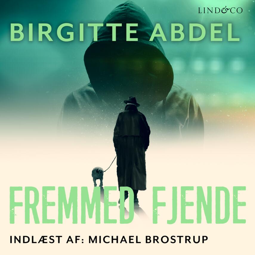 Birgitte Abdel: Fremmed fjende