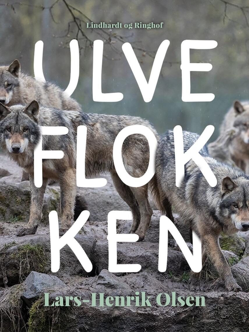 : Ulveflokken