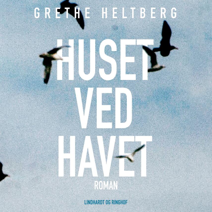 Grethe Heltberg: Huset ved havet : roman
