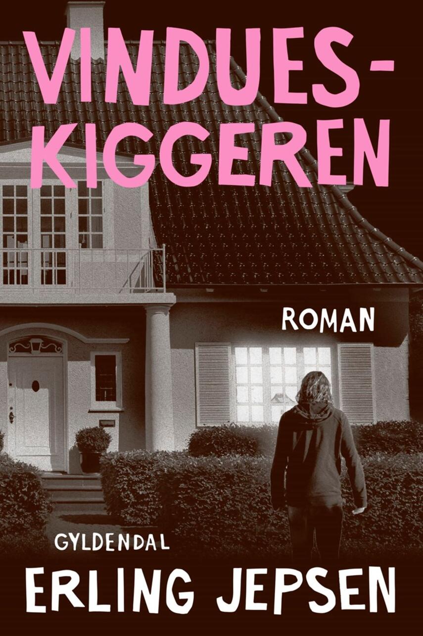 Erling Jepsen (f. 1956): Vindueskiggeren : roman