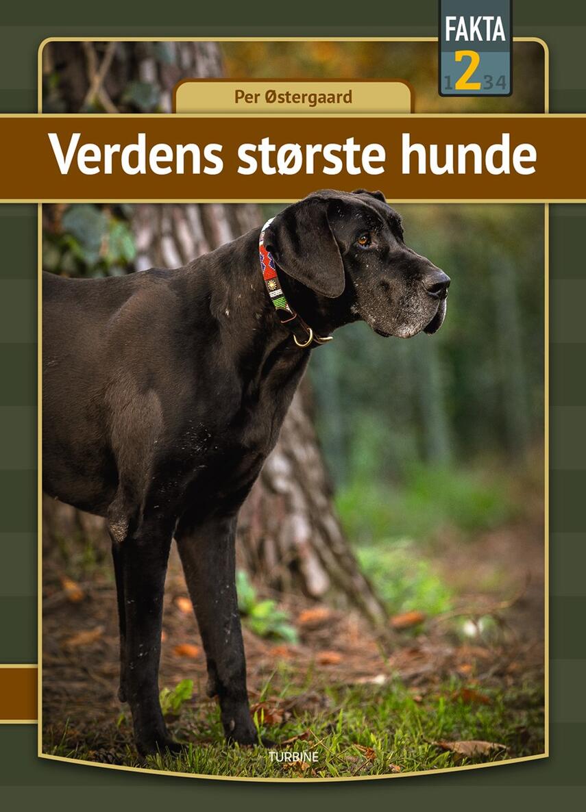 Per Østergaard (f. 1950): Verdens største hunde