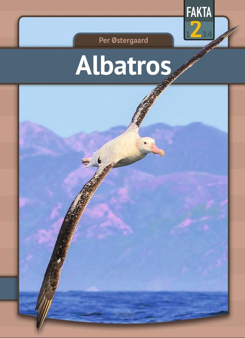 Per Østergaard (f. 1950): Albatros