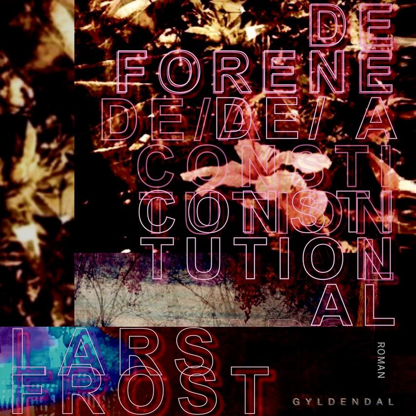 Lars Frost (f. 1973-10-07): De forenede : a constitutional