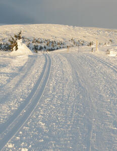 Langrendsløjpe Sjusjøen