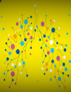 network