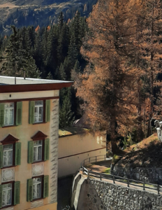 Hotel Schatzalp Alperne