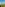 Gillian Harvey: Den franske sommer